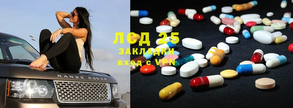 ГАЛЛЮЦИНОГЕННЫЕ ГРИБЫ Касимов