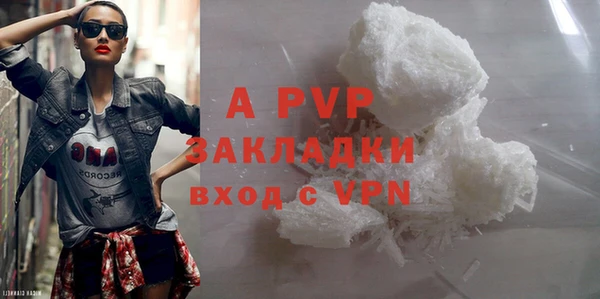 ГАЛЛЮЦИНОГЕННЫЕ ГРИБЫ Касимов