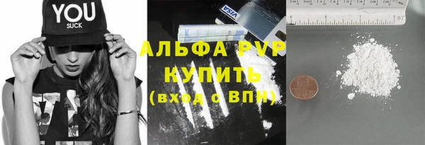 шишки Карпинск