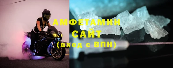 шишки Карпинск