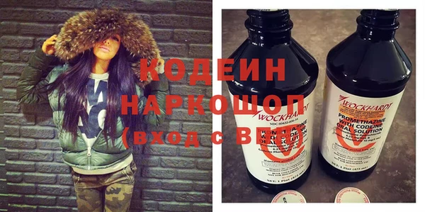 шишки Карпинск
