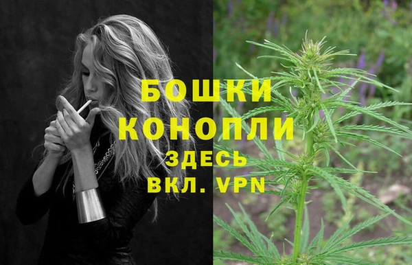 шишки Карпинск
