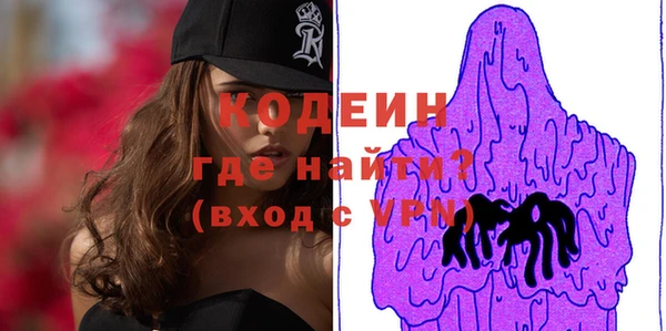 шишки Карпинск