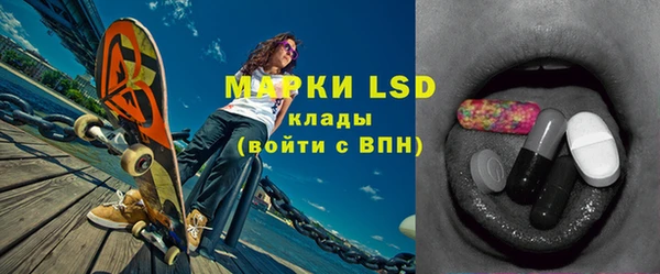 ГАЛЛЮЦИНОГЕННЫЕ ГРИБЫ Касимов