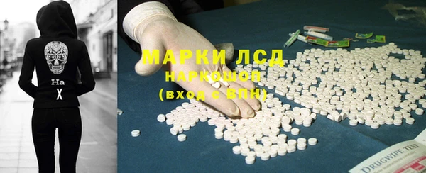 шишки Карпинск