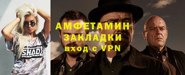 ГАЛЛЮЦИНОГЕННЫЕ ГРИБЫ Касимов